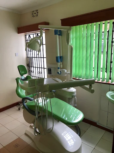 Ergonomic dental chair with modern equipment.